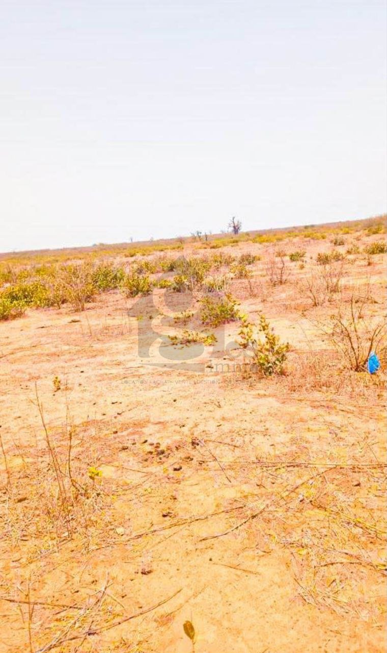 Terrain 300m2